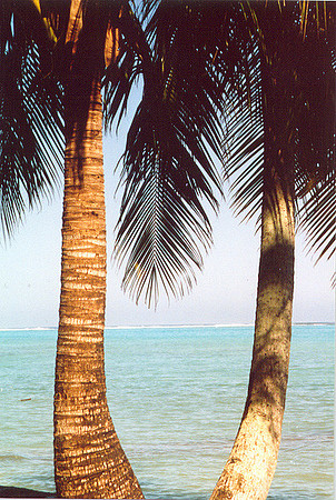 Moorea