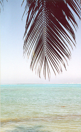 Moorea