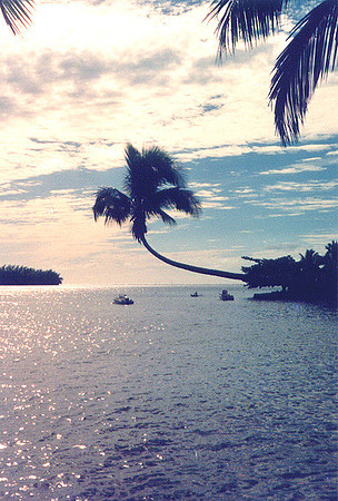 Moorea