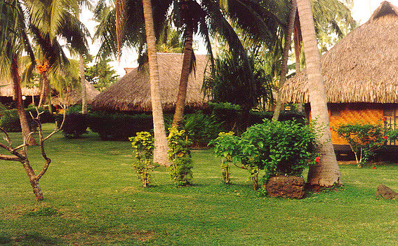 Moorea