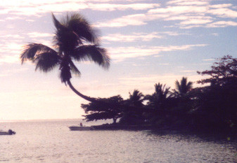 Moorea