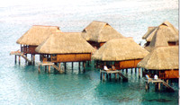 Moorea