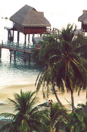 Moorea