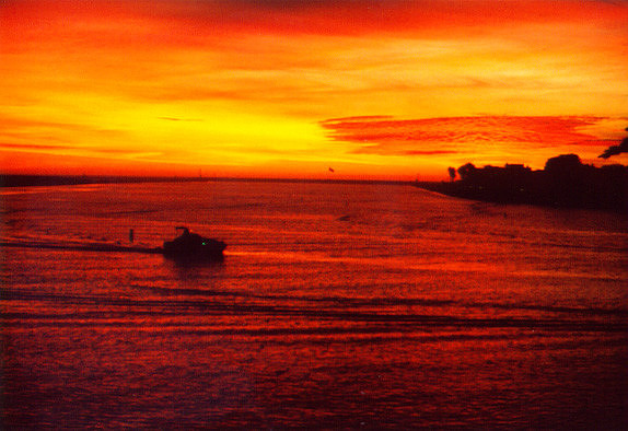 Sunset - Los Angeles 3
