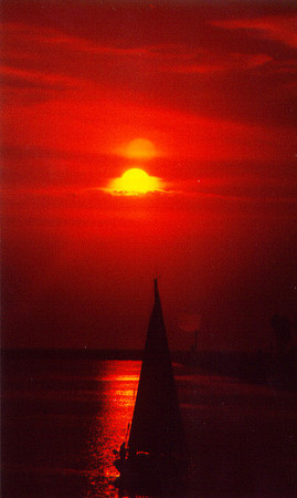 Sunset - Los Angeles 7