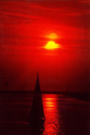 Sunset - Los Angeles 6
