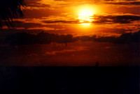 Sunset - Los Angeles 2