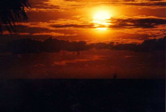 Sunset - Los Angeles 2