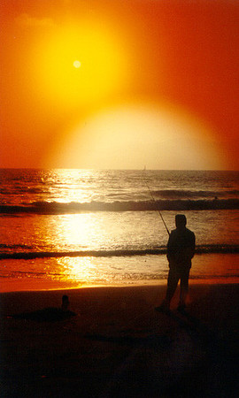 Sunset - Los Angeles 11