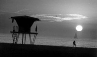 Sunset - Los Angeles 12