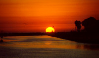 Sunset - Los Angeles 1