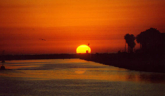 Sunset - Los Angeles 1