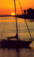 Sunset - Los Angeles 13