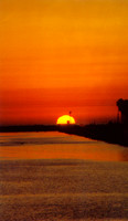 Sunset - Los Angeles 14