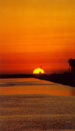 Sunset - Los Angeles 14