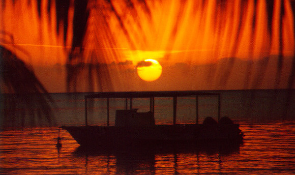 Sunset - Jamaica 1