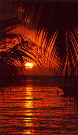 Sunset - Jamaica 2