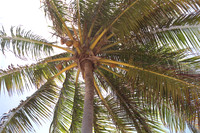 Costa do Sauipe