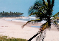 Costa do Sauipe