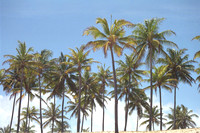 Costa do Sauipe