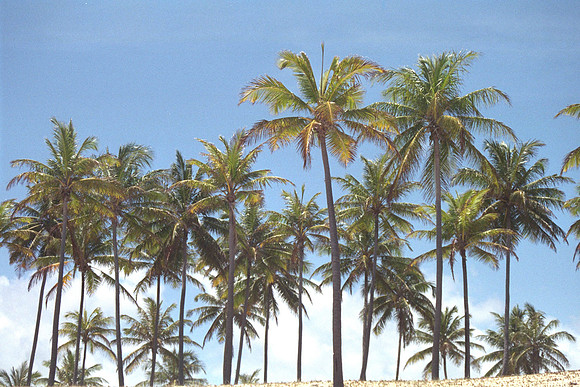 Costa do Sauipe