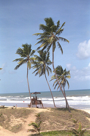 Costa do Sauipe