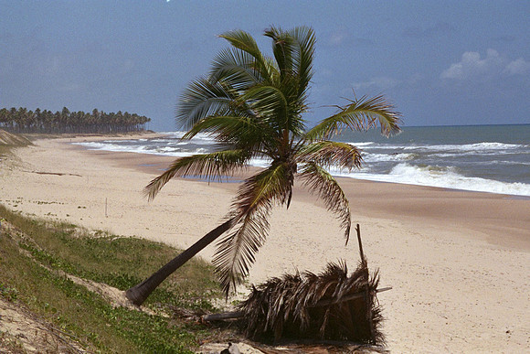 Costa do Sauipe