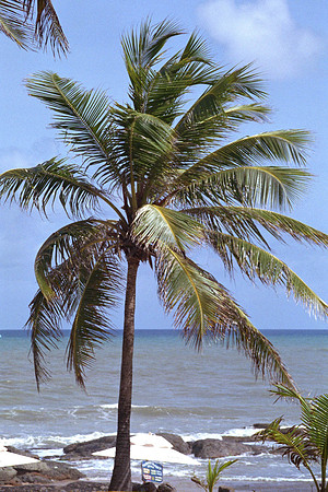 Costa do Sauipe