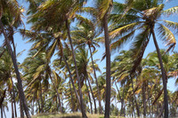 Costa do Sauipe