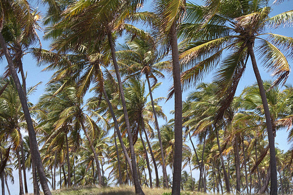 Costa do Sauipe