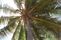 Costa do Sauipe