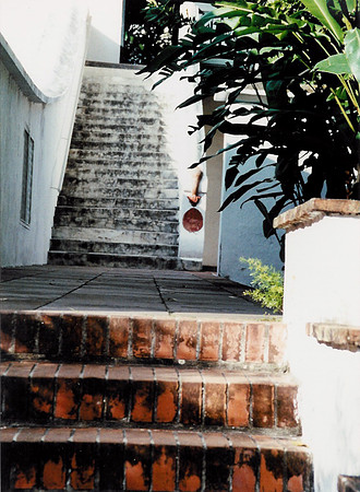 Venezuela 6
