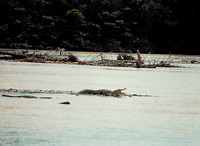 Costa Rica 5