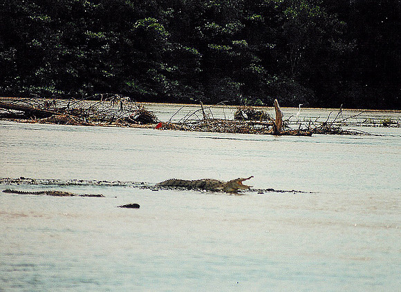 Costa Rica 5
