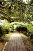 Kuranda, Australia