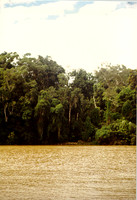 Kuranda, Australia