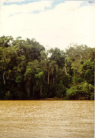 Kuranda, Australia