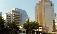 Vancouver 8