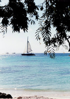 Aruba 14