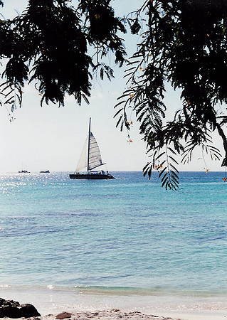 Aruba 14