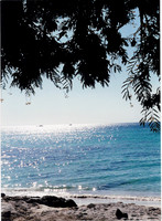 Aruba 15