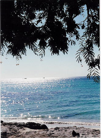 Aruba 15