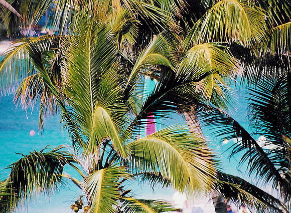 Bahamas 60
