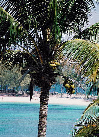 Bahamas 68