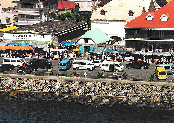 Dominica 8