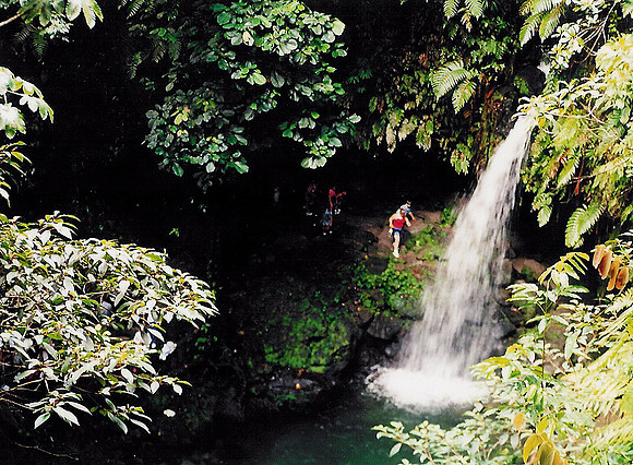 Dominica 7