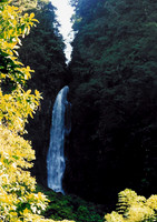 Dominica 6
