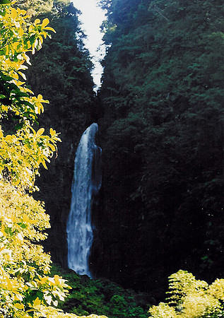 Dominica 6