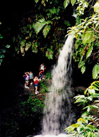 Dominica 1