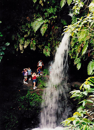 Dominica 1